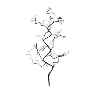 Sirius Rasmine Branch