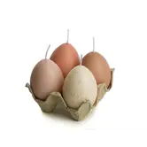 Egg kaarsjes in tray roze tinten