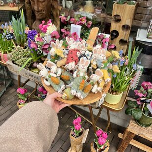 Haal de lente in huis!