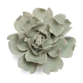 Pistachio green rose