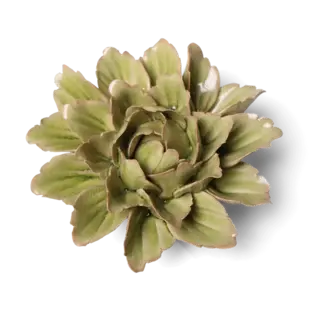 Keramische wandbloem | Peridot sorbet pioenroos