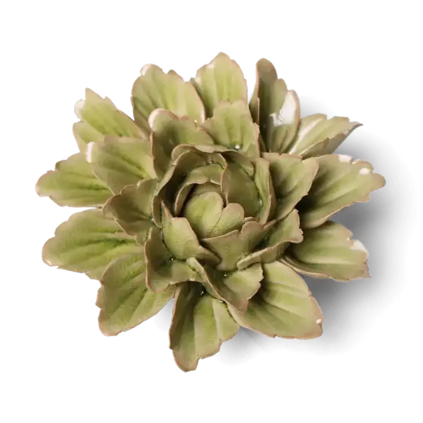 Chive Keramische wandbloem | Peridot sorbet pioenroos