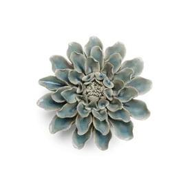 Powder blue aphtodite dahlia