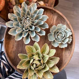 Houten schaal & bloemen keramiek compleet