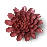 Keramieken bloem | Blush pink star dahlia