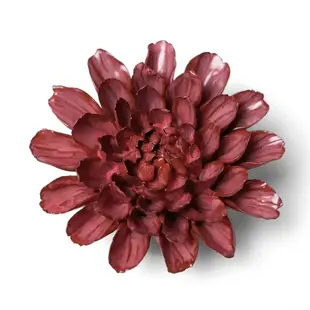 Keramische wandbloem | Blush pink star dahlia