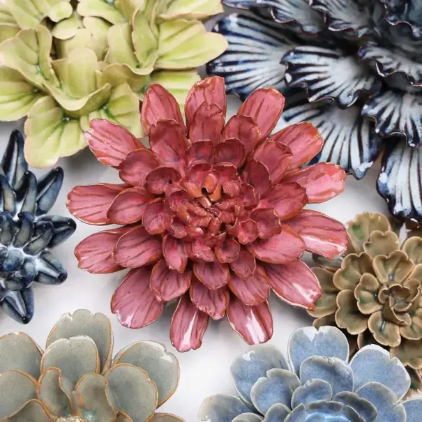 Chive Blush pink star dahlia