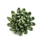 Keramieken bloem | Jade green