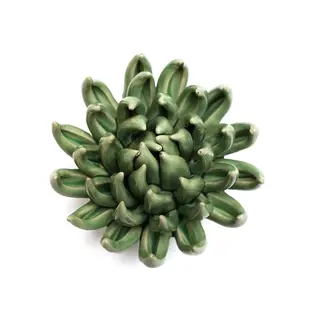 Keramische wandbloem | Jade green