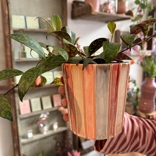 Pot Emily streep gekleurd