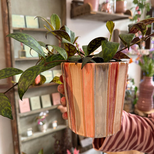 Mevrouw Potjes Pot Emily streep gekleurd