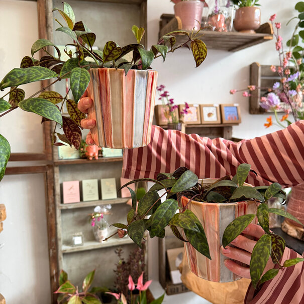 Mevrouw Potjes Pot Emily streep gekleurd