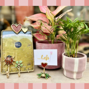 Cadeau onder de €20
