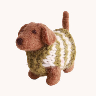 Dog - dachshund with knitted wweater
