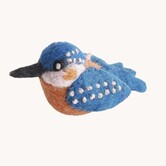 Kingfisher bird