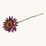 Gerbera Flower - Light Purple