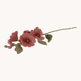 Hollyhock dusty red