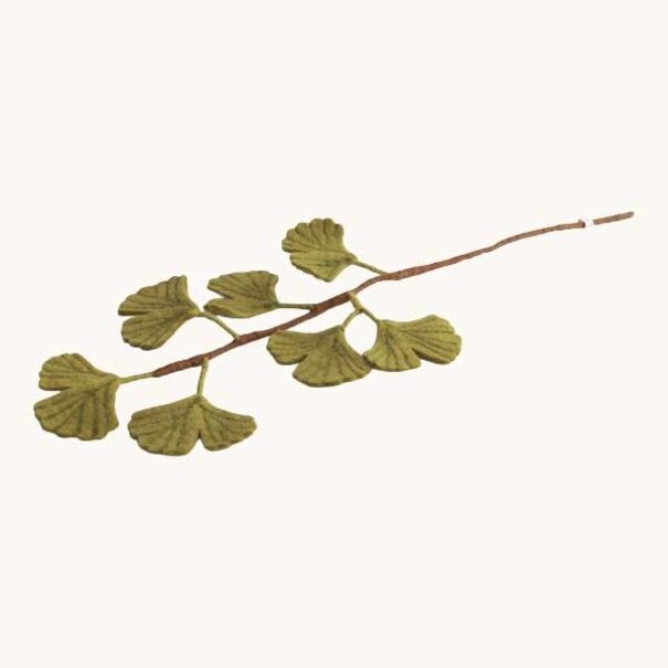 Gry & Sif Ginkgo Biloba Branch - Green