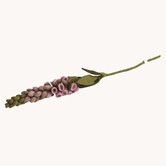 Foxglove Flower - Light Pink
