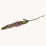 Foxglove Flower - Light Pink