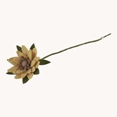 Sunflower yellow