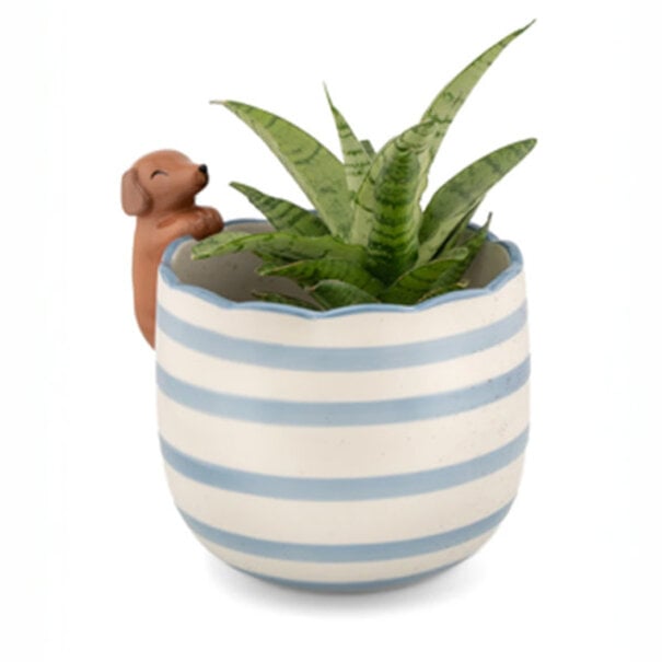 Sass & Belle Peeking Sausage Dog Planter