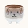 Mojave Dog Planter