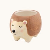 Hedgehog Planter