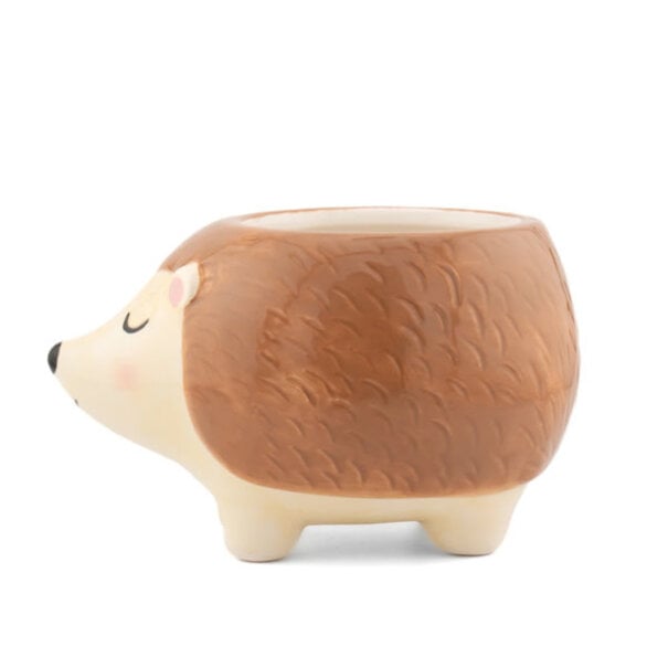Sass & Belle Hedgehog Planter