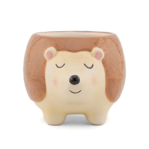 Sass & Belle Hedgehog Planter