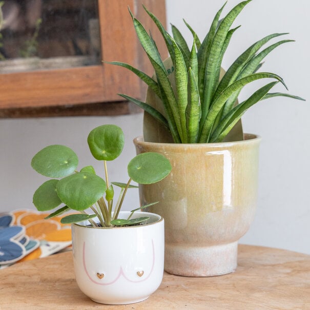 Mevrouw Potjes Pot - Lola