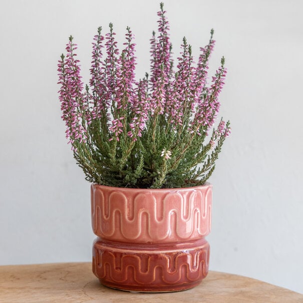 Mevrouw Potjes Pot - Berry