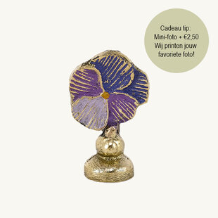 Valery Violet Card Holder