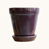Pot Eva