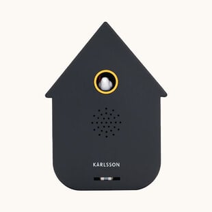 Sound box Modern Cuckoo black