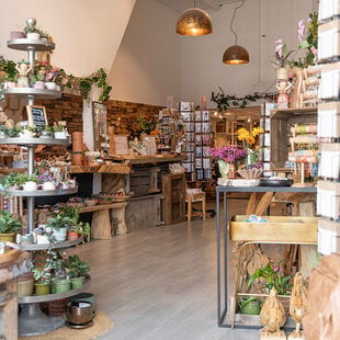 Wonen & Lifestyle