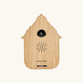 Sound box Modern Cuckoo