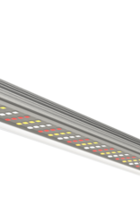 Secret Jardin SECRET JARDIN TLED 26 WATT 2100°K BLOEI