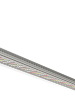 Secret Jardin SECRET JARDIN TLED 42 WATT 2100°K BLOEI