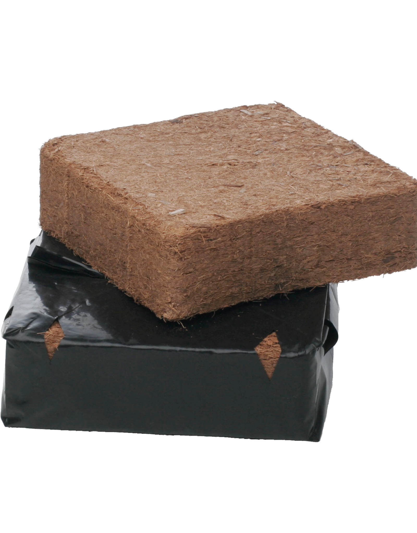 Atami Atami Bounce cocos brick