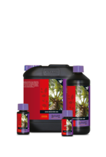 Atami Atami B cuzz coco booster universal 1L