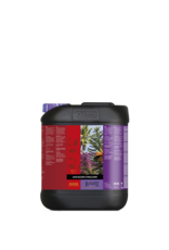 Atami Atami Bcuzz coco bloeistimulator 5L