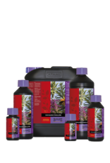 Atami Atami Bcuzz coco bloeistimulator 5L