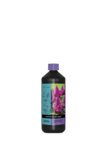 Atami Atami Bcuzz blossom builder liquid 1L