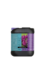Atami Atami Bcuzz blossom builder liquid 5L