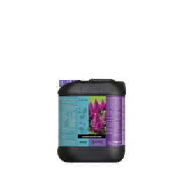 Atami Atami Bcuzz blossom builder liquid 5L