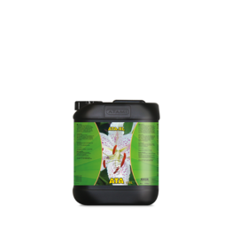 Atami Atami ATA XL 5L