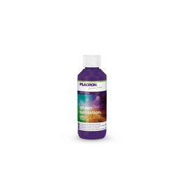 Plagron Plagron Green Sensation 100ml