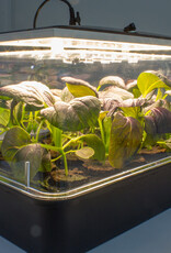 ROOTiT ROOT!T Full Spectrum LED Grow Light - Blisterpack