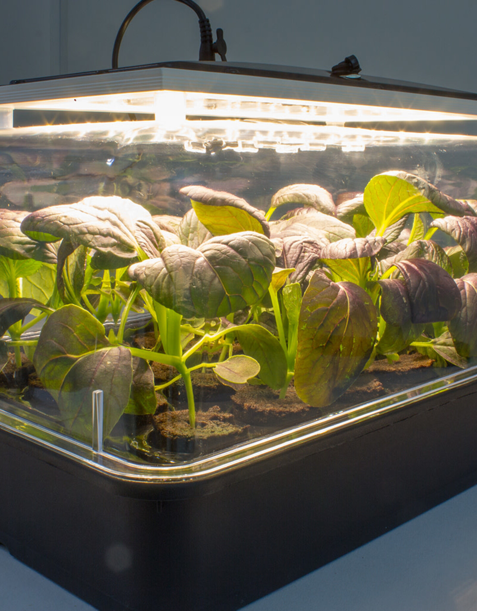ROOTiT ROOT!T Full Spectrum LED Grow Light - Blisterpack